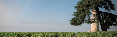 Bordeaux Wine Guide: Left Bank vs Right Bank, Explained for KL Buyers
