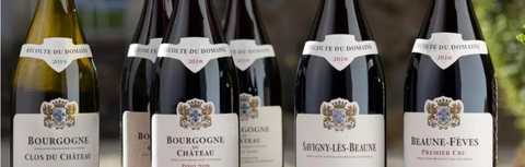 Château de Meursault: One of Burgundy's Largest Single Estates