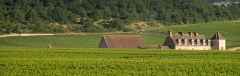 Château de Marsannay: The Côte de Nuits' Northern Gateway, Done Well