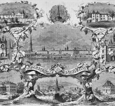 Bordeaux 1855 Classification: The Complete Guide for KL Wine Lovers