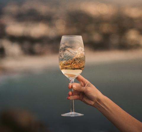 Discover new arrivals, producer spotlights & exclusive events at Vintage Wine Club