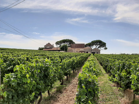 CHATEAU PIRON