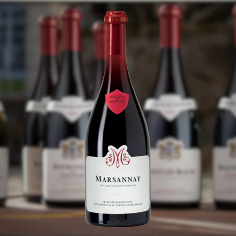 Château de Marsannay