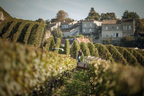 CHATEAU AUSONE