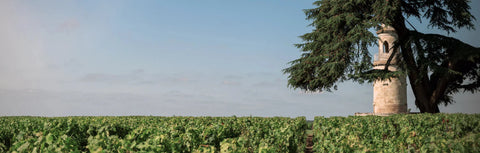 Bordeaux En Primeur 2025