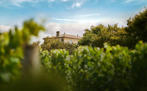 CHATEAU FONBEL