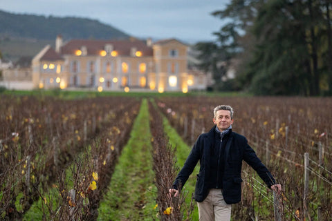CHATEAU DE MARSANNAY