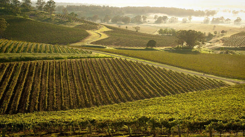 CHATEAU MOUTINOT